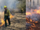 Students in the class will learn about prescribed burns, their benefits, and controlling fires in wildlands. (NCFS photos)