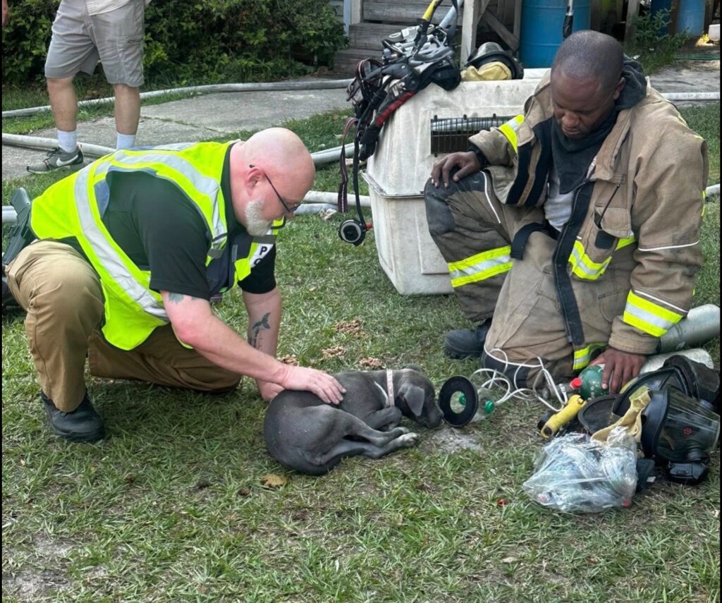 First Responders Save Dog From Fire – Columbus County News