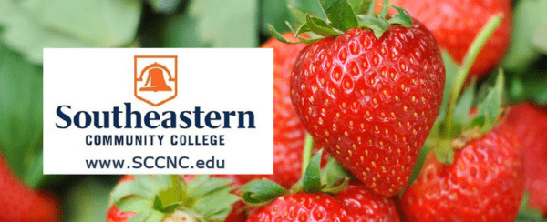 SCC strawberry fest