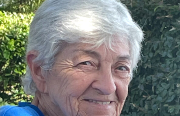Linda Gail (Williamson) Williamson