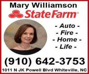 State-Farm-Mary-Williamson 300 X 250