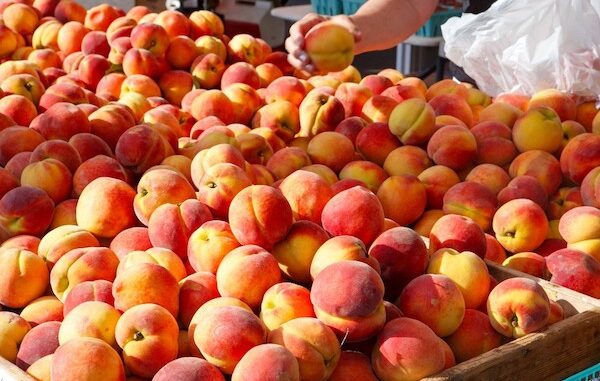 peaches copy