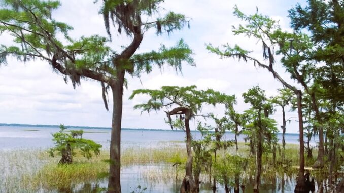lake dam 2009 2