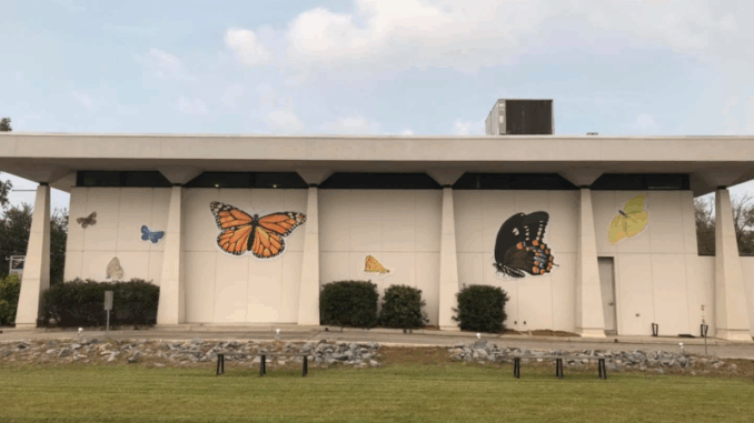 museum 25 years