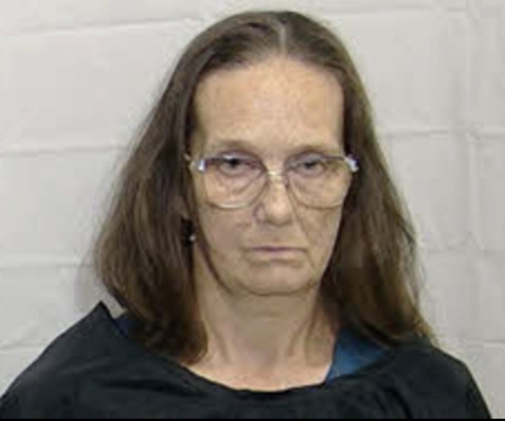 Woman Charged in Child Sex Case – Columbus County News
