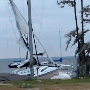 Boats on the port