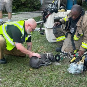 Moody and Blanks comfort the puppy after  giving her oxygen through a specialized mask made for dogs. (Whiteville Emergency Services photo)