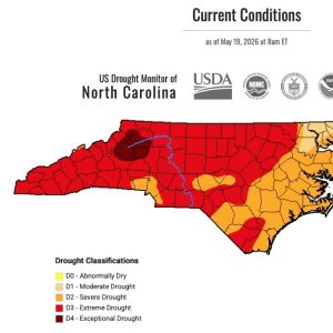 Thursday's drought monitor showed little change for our area. (NCDMC)