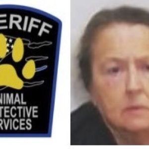 Deborah Dahl (CCSO Detention)