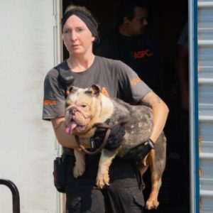Some of the dogs had to be carried due to their poor health and being kept in confined conditions. (CCSO photo)