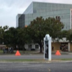Trees beside buildings