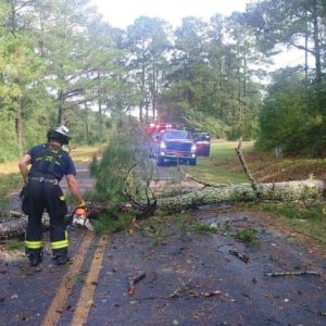 ADR Firefighters cleared a tree on Kennedy Store Road that was toppled by the storm. (ADR Photo)