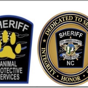 Update: Dead Cat Found in Cruelty Case