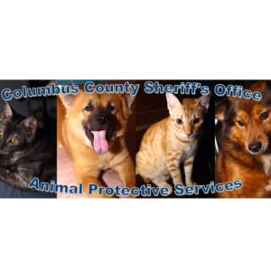 Finances, other issues at Animal Control questioned