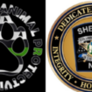 Dogowner Pulls Gun on Animal Protective Services Officer
