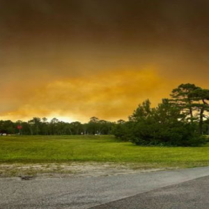 Green Swamp Fire off Hwy 211 (Photo Courtesy of Facebook)