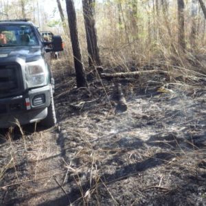 NCFS personnel are on the scene of a wildfire that has caused N.C. 211 to close at the Brunswick line. (File photo)