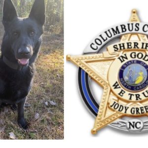 K9 Gunny (courtesy CCSO)