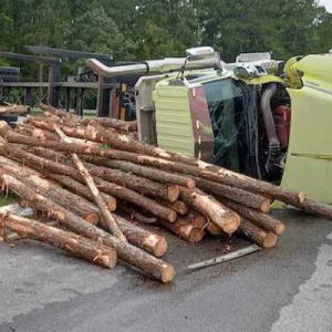 Riegelwood log truck