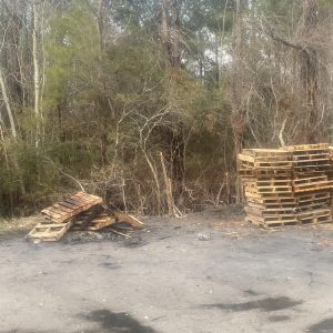 Among the debris illegally dumped at Old Dock was a large number of wooden pallets. (CCSO photos)