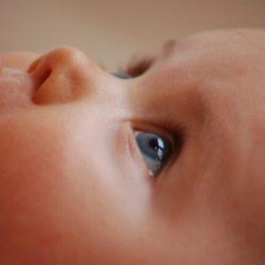 file phot. pexels-rasmus-svinding