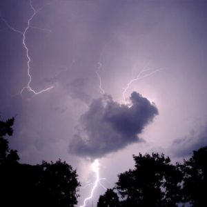 Lightning Ignites Wildfire; Horses, Hounds, Homes Saved