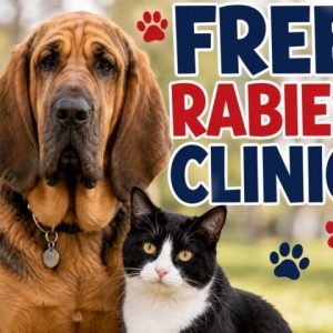 Free Rabies Clinic Saturday in Delco