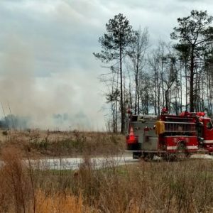 File photo of a brush fire in 2022.